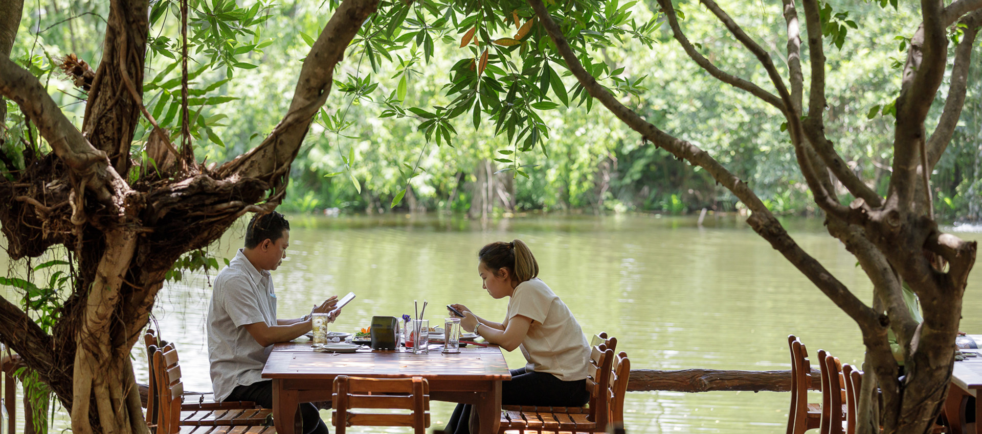 ข้าวเม่าข้าวฟ่าง khaomaokhaofang